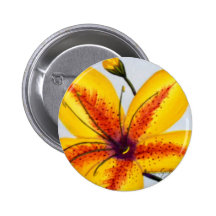 Yellow Oriental Lily Pinback Button