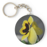 Yellow pansy
