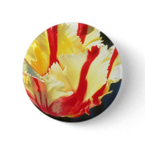 yellow Parrot tulips, 'Flaming Parrot' flowers Buttons