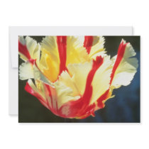 yellow Parrot tulips, 'Flaming Parrot' flowers Personalized Invite