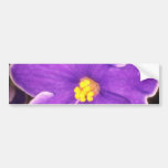 Yellow Paulia flowers Bumper Stickers