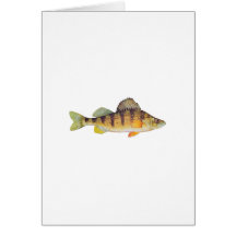 Yellow Perch (untitled) Card