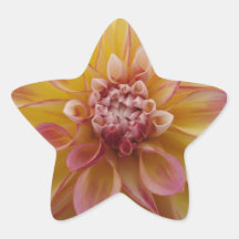 Yellow Petal Star Sticker