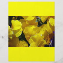 Yellow-petals529 YELLOW PANSIES FLOWERS PHOTOGRAPH Flyer
