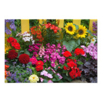 Yellow picket fence with flower garden in