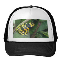Yellow Poison Dart Arrow Frog Mesh Hats