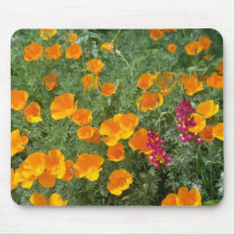 yellow Poppies grasping the sun flowers Mouse Pad