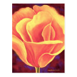 Yellow Poppy Flower Painting - Multi Postcard