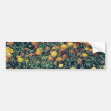 yellow Pot Marigold (Calendula Officinalis) flower Bumper Stickers