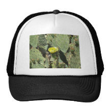 Yellow Prickly Pear Blossom Trucker Hat