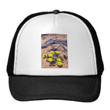 Yellow-Prickly Pear Cactus flowers Trucker Hat