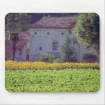 yellow Provencal mas near Carpentras in field of s Mousepad