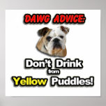Yellow Puddles Poster