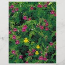 Yellow & Purple Monkey Flower Flyers