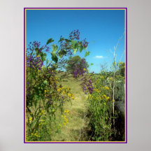 Yellow & Purple Posters