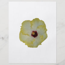 Yellow Red hibiscus bloom cutout Full Colour Flyer