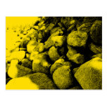Yellow Rocks Postcard
