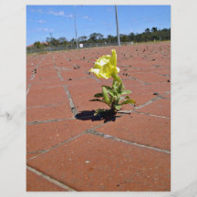 Yellow rose blossoming on a sunny day full color flyer