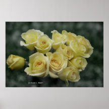 Yellow Rose bouquet spotted background Poster