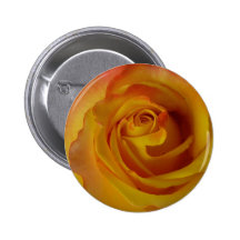 yellow rose bud button / badge