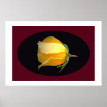 Yellow Rose Bud  Posters