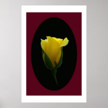 Yellow Rose Bud  Posters