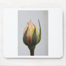 Yellow Rose bud with rain droplets. Mousepad
