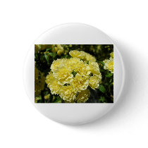 Yellow Rose Bush Button