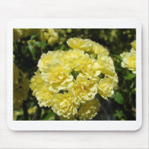 Yellow Rose Bush Mouse Pads
