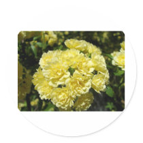 Yellow Rose Bush Sticker