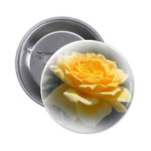 Yellow Rose Button