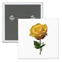 Yellow Rose Buttons