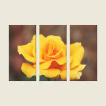 Yellow Rose canvas prints