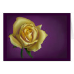 Yellow Rose