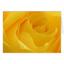 Yellow Rose Greeting Cards