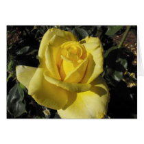 Yellow rose cards