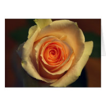 Yellow Rose Card