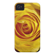 Yellow Rose Case-Mate iPhone 4 Case