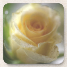 yellow rose drankjes onderzetters