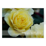 Yellow Rose DSC3677 Greeting Card