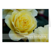 Yellow Rose DSC3677 Greeting Card