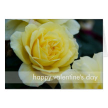 Yellow Rose DSC3677 Greeting Cards