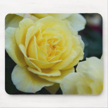 Yellow Rose DSC3677 Mousepad