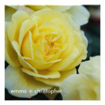 Yellow Rose DSC3677 Personalized Invitations