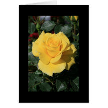 Yellow Rose Flower Greeting Card and Note Card