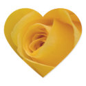 Yellow Rose Flower stickers