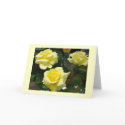 Yellow Rose Greeting Card