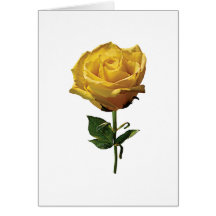 Yellow Rose Greeting Cards