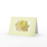 Yellow Rose Greetings Cards