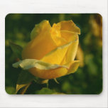 Yellow Rose In Balboa Park Mouse Mat